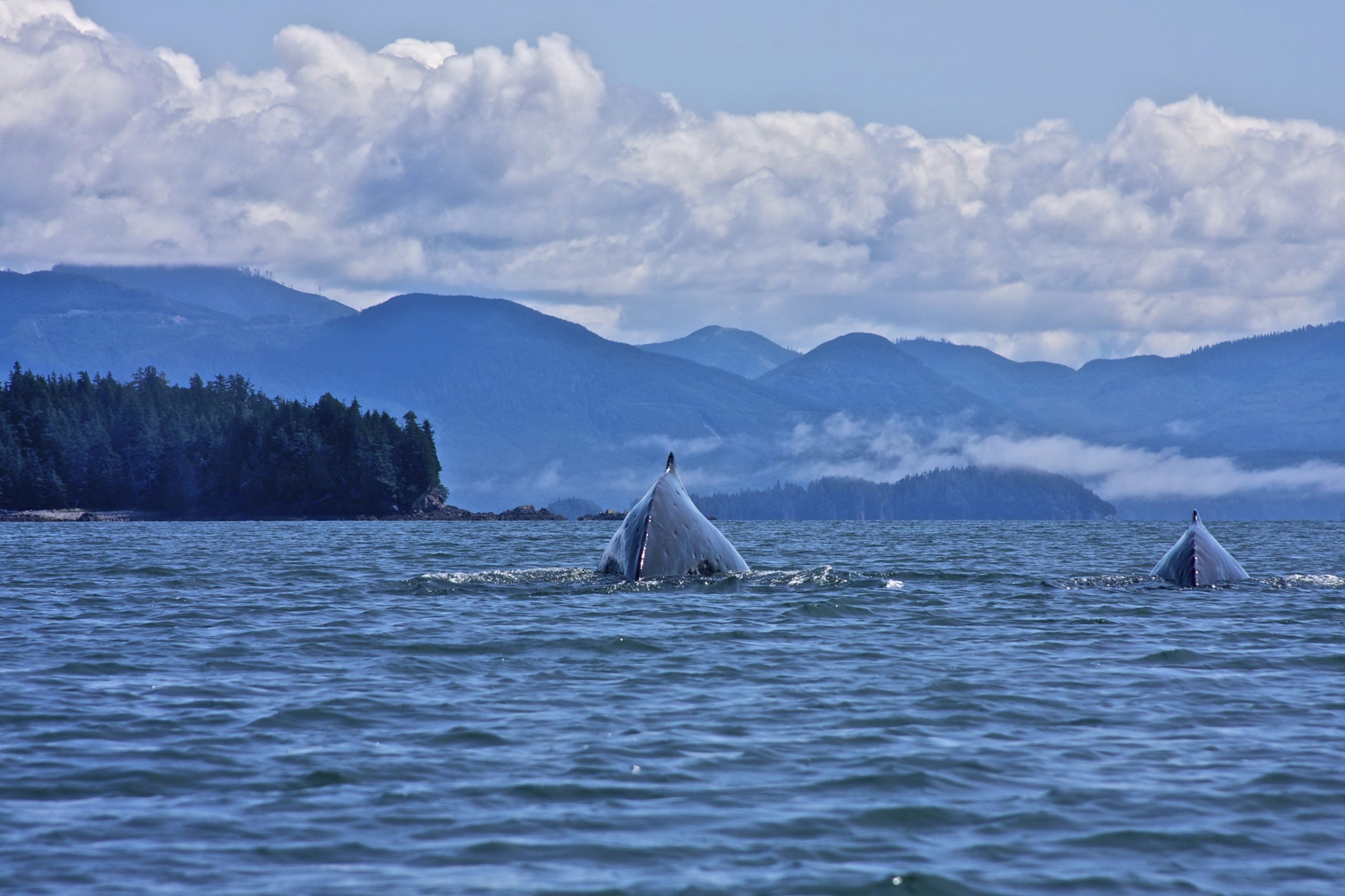B.C. North Coast - No Tankers